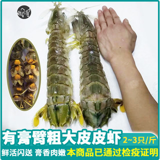 海鲜水产活虾泰国大皮皮虾满籽手臂粗虾特大虾饱膏2-3/斤同城鲜活