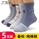 六指鼠儿童袜子春秋薄款 男童纯棉袜小中大童男孩宝宝中筒袜子A类