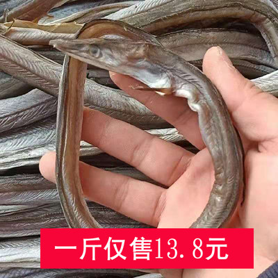 500g海鲜去内脏鳗鱼干