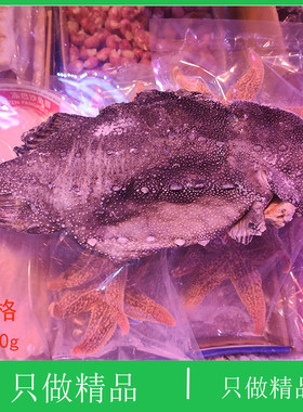 大连野生美食冰岛冷冻石斑鱼去砂浪浦斯鱼东星斑鱼龙头鱼大海参斑