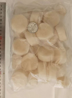 大连海鲜新鲜绿贝绿甲烧烤辅食扇贝大贝类蛤蜊合成清蒸澳大带子肉