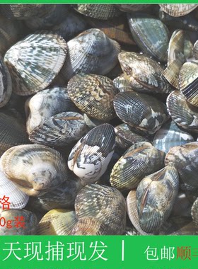 蚬子花甲大连海鲜顺丰时效