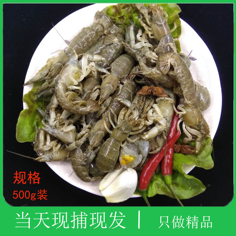 大连海鲜新鲜鼓虾虎麻辣芦沟虾鹿港虾猴小吃野生罗锅虾鲜活蝼蛄虾