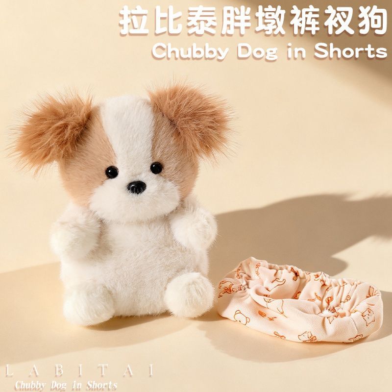 可爱拉比泰胖墩裤衩小狗