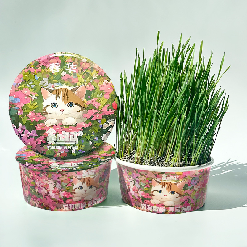贪吃马无土猫草混合麦燕麦