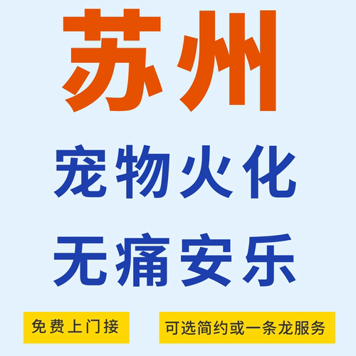 上门接可陪同24小时无隐形消费
