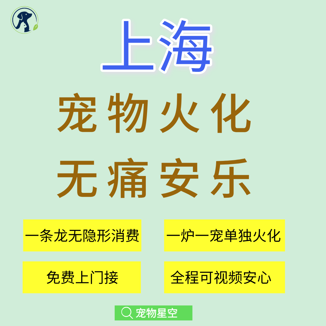 上海宠物火化殡葬无痛安乐丧葬一条龙狗犬猫兔子仓鼠善终骨灰安置