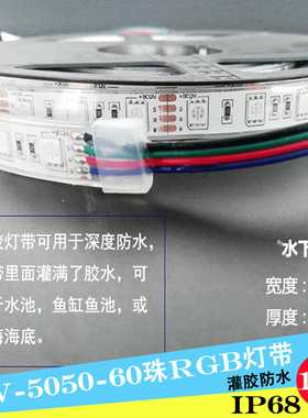 LED12V灯带5050七彩RGB爆闪白色暖白光户外防雨呼吸室外灌胶IP68