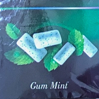 Gum Mint 1 кг