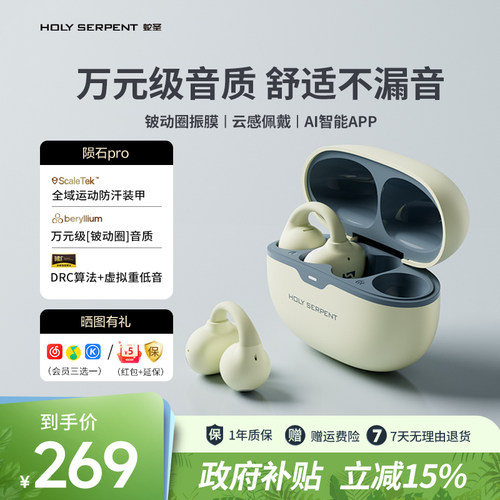蛇圣陨石PRO耳夹蓝牙耳机防汗