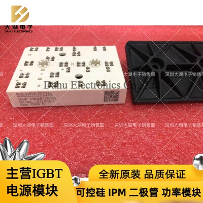 SKIIP31NAB125T12  咨询下单 全新原装