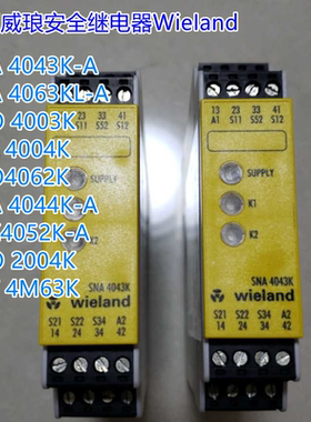 德国继电器SNA 4043K  SNA4063KL 4003K-A SNE 4004K