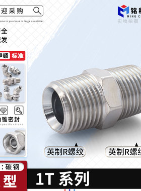 1T接头永华标准液压油直通英锥管外螺纹变径对丝BSPT螺纹ZG管接头
