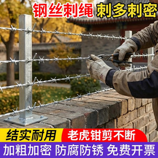 刺绳刺线圈地养殖防野猫刺网带刺铁丝网热镀锌刺绳网刺丝滚笼防盗