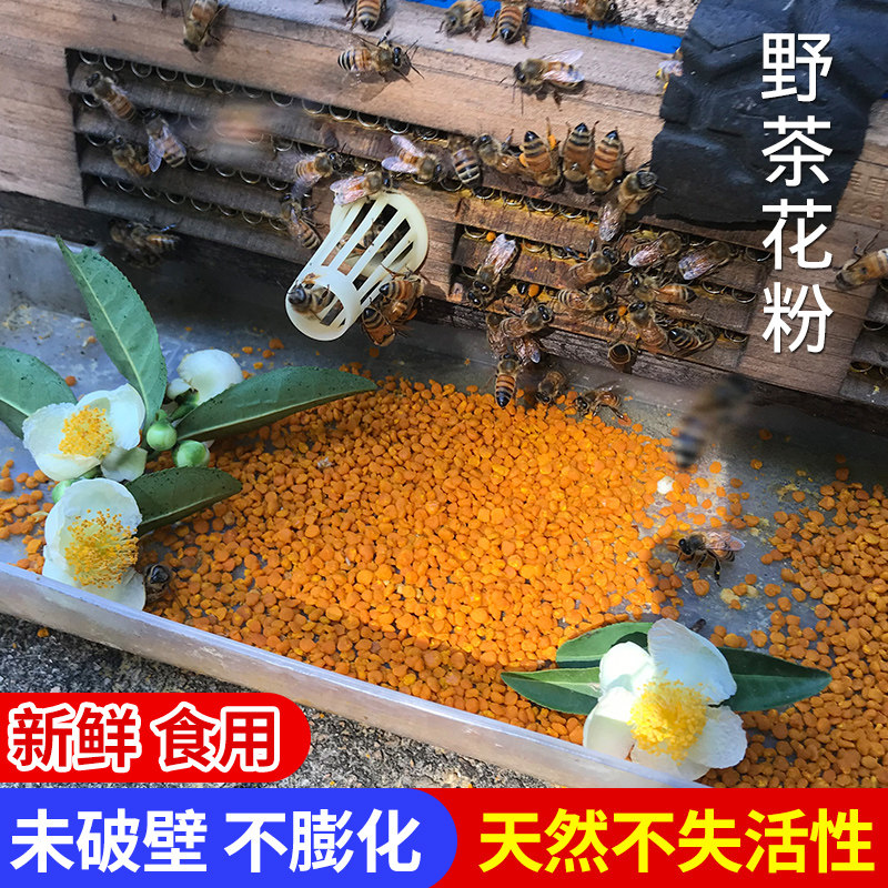 黄山野生绿茶花粉食用天然蜂花粉新鲜活性正品花粉可免费破壁美容在类目 传统滋补营养品, 蜂产品, 蜂花粉中 - 来自Buy2taobao.com提供专业的淘宝代购服务