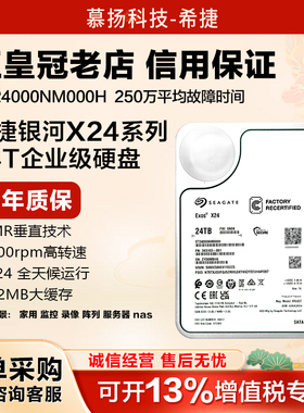 正品希捷银河系企业级ST24000NM000H 氦气盘24TB机械硬盘服务器