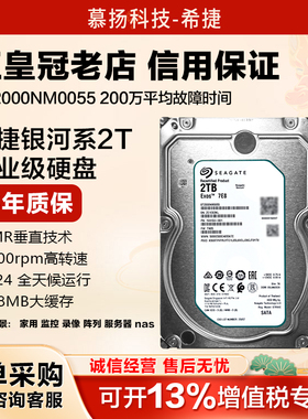 希捷机械硬盘2TB 银河企业级服务器NAS存储CMR垂直盘ST2000NM0055