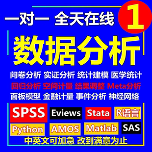 spss数据分析生信分析R代做医学meta统计处理stata计量模型python