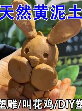 黄土天然黄土粘土幼儿园教学学生手工儿童玩黄泥巴红土红泥巴泥塑