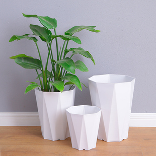 简约号龙血树花盆发财树送客厅托盘加厚大天堂鸟大塑料口径家用