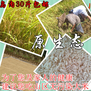 鹭岛依人龙岩山区原生态无污染无抛光农家大米新米香米稀饭干饭
