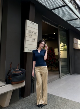 AWMUMU高智姐感polo领针织衫上衣女纯欲性感修身V领中袖显瘦T恤女