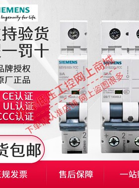 西门子直流小型断路器5SY5微型空开1P DC220V 2P DC440V 10KA 16A