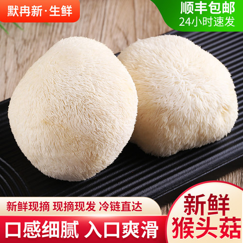 新鲜半野生猴头菇1斤包邮