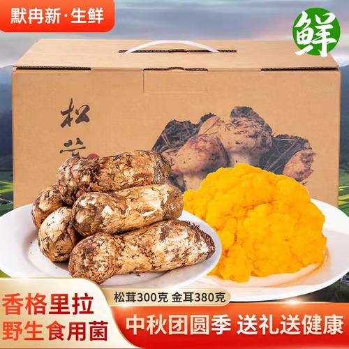 香格里拉鲜松茸枞树菌送金耳菌