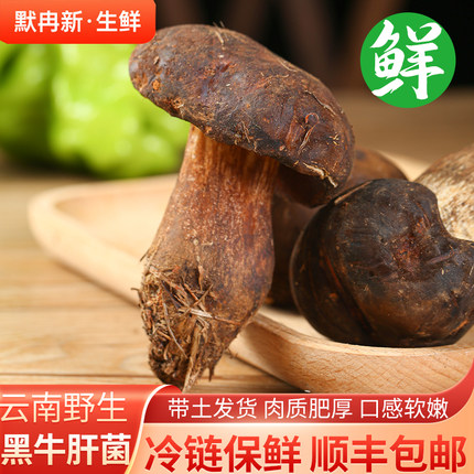 【现货】新鲜黑牛肝菌500g 现摘云南当野生食用菌蘑菇见手青鲜菌