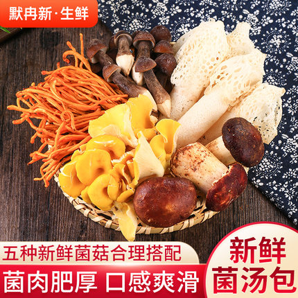 【现货】鲜菌菇现摘松茸菌竹荪牛肝菌金耳灰树花枞树菌羊肚菌蘑菇