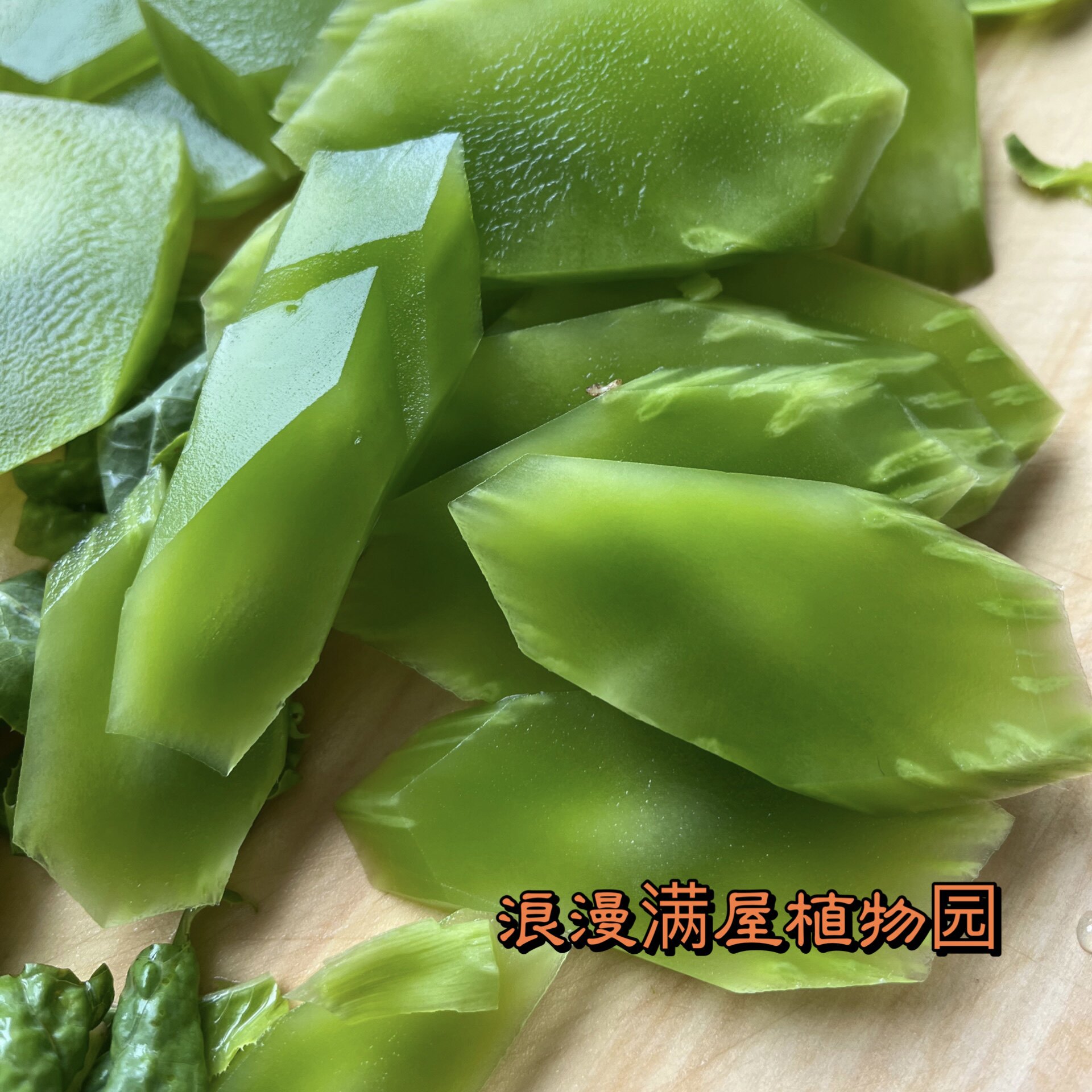 农家传统非杂交秋冬莴笋种子图片