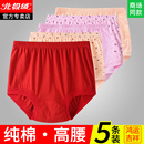 老年人本命年大红妈妈内裤纯棉中老年蛇年红色全棉短裤女士底裤女