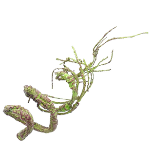 RS爬虫箱造景树藤假树枝亚克力网变色龙箱雨林泡沫蔓藤饲养箱装饰