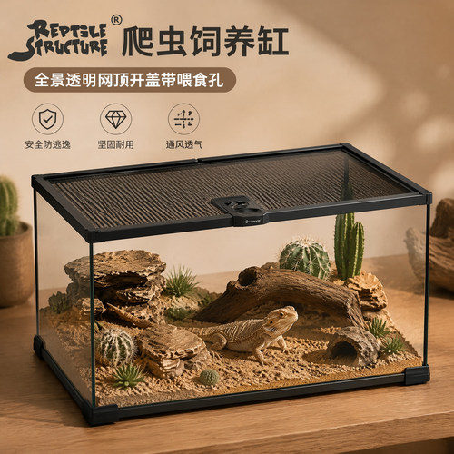 玻璃饲养新款磁吸爬虫角蛙雨林