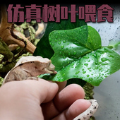 睫角守宫果泥喂食神奇树栖喂水仿真树叶造景水盆蜘蛛变色龙饮水器