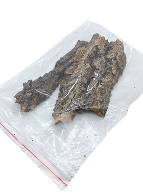 ReptileStructure造景香槟树皮