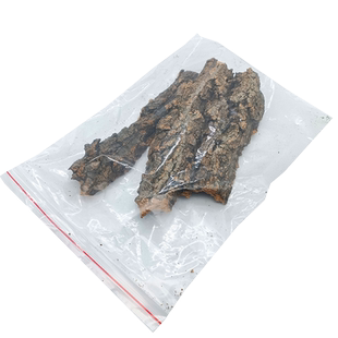 爬宠造景香槟树皮守宫蜥蜴蝎子蛇蜘蛛躲避遮挡鼠妇西瓜虫防腐防潮