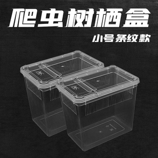 RS中号树栖盒昆虫守宫小号饲养盒蜘蛛树蛙翻盖睫角苗盒螳螂爬虫