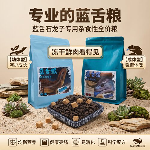 结构龙子珠宝幼体冻干杂食鬃狮
