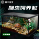 玻璃饲养箱缸爬虫盒角蛙生态雨林陆龟蜥蜴蛇守宫爬宠物鬃狮寄居蟹