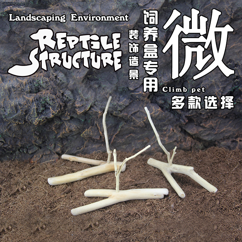 原生小木头，经过加工消毒，适合饲养盒造景