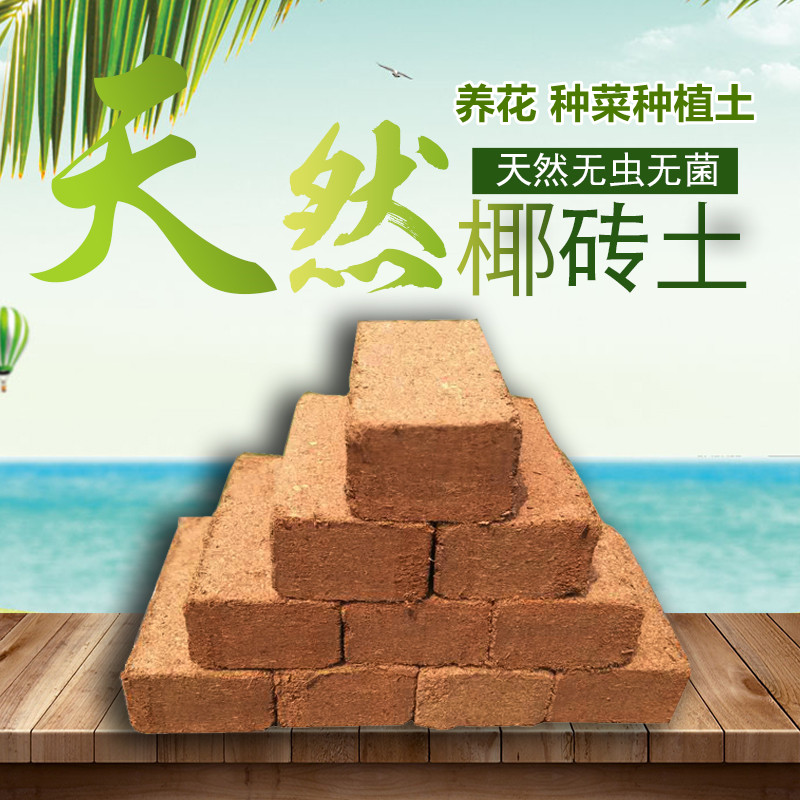 泡发用营养土椰砖土椰壳土
