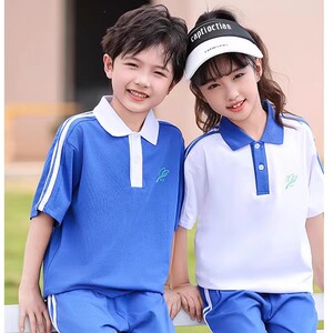 深圳校服中小学生男女春夏秋冬装polo衫纯棉长短袖t恤长短裤套装