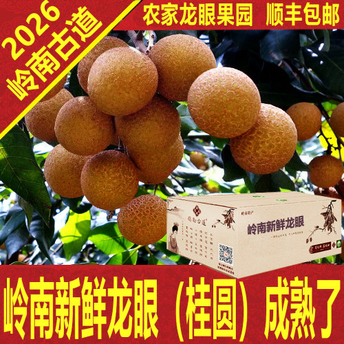 新鲜龙眼石硖储良桂圆顺丰包邮空运礼盒农家特产深圳南山岭南古道