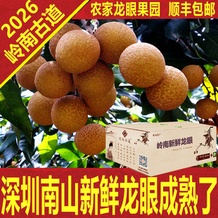 新鲜龙眼石硖储良桂圆顺丰包邮空运礼盒农家特产深圳南山岭南古道