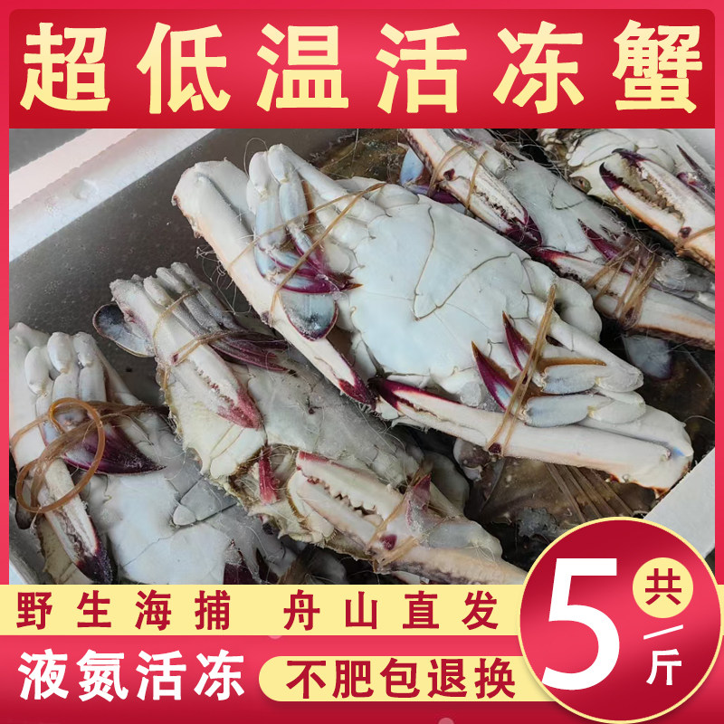 【5斤】液氮冻蟹舟山梭子蟹 冷冻螃蟹大公蟹白飞蟹蟹海鲜产地直发
