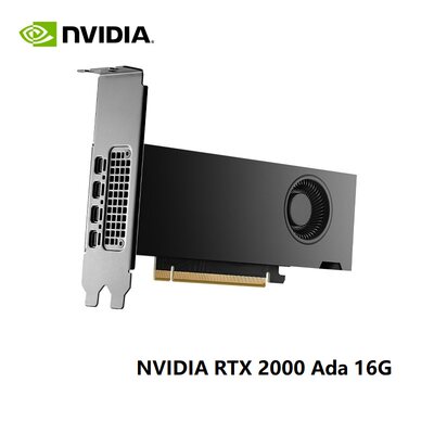 NVIDIA 英伟达 RTX 2000 Ada 16G 图形设计建模3D渲染专业GPU显卡