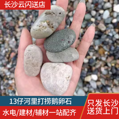 13鹅卵石装修打混泥土卵石13仔河里打捞鹅卵石全长沙配送入户