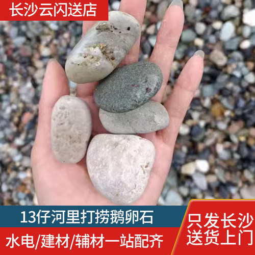 13鹅卵石装修打混泥土卵石13仔河里打捞鹅卵石全长沙配送入户